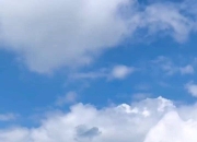 开云体育-包含瑞典男子高尔夫选手实现完美挥杆，夺魁的词条