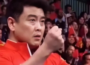 开云体育官网-日本乒乓球队血洗德国乒乓球队，王皓关键制胜的简单介绍