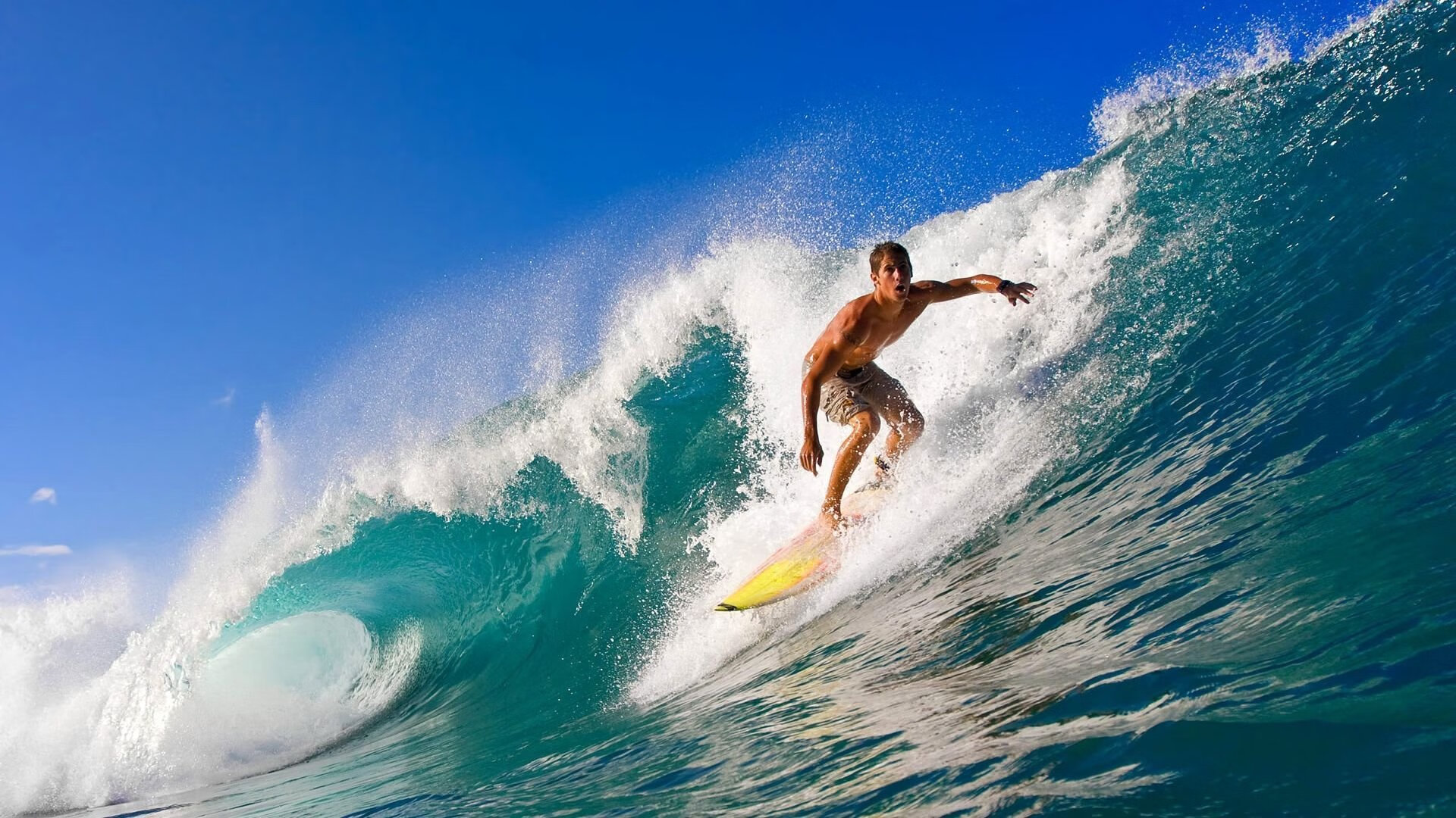 拉沃尔杯完胜ATP总决赛，兹维列夫关键制胜背后的团队革命